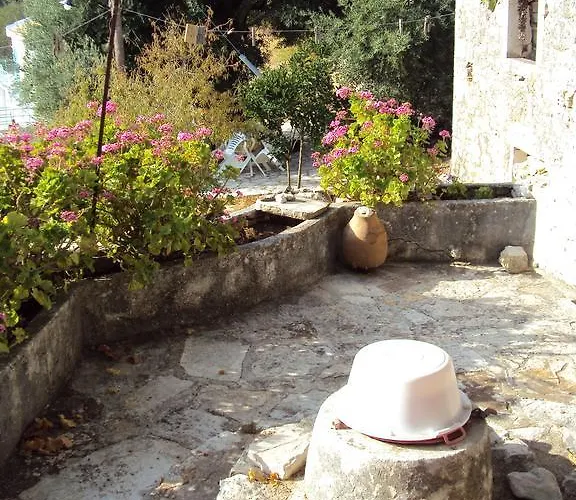 ενοικιαζόμενα φέτση