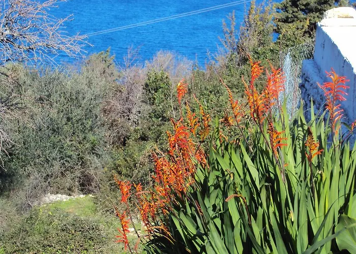 Διαμέρισμα ενοικιαζόμενα φέτση *